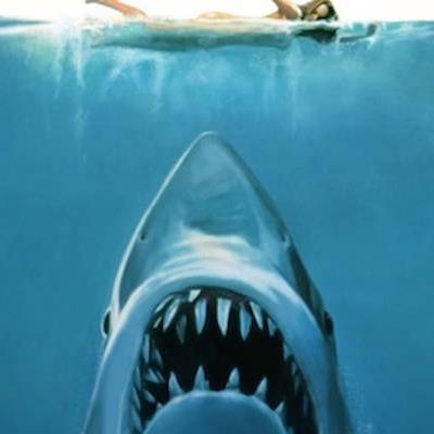 Top 10 bộ phim kinh dị hay nhất về cá mập khiến người xem “thót tim"