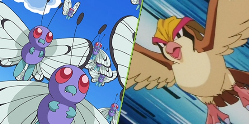 Hai Pokemon đầu tiên được Ash thu phục: Butterfree và Pidgeot