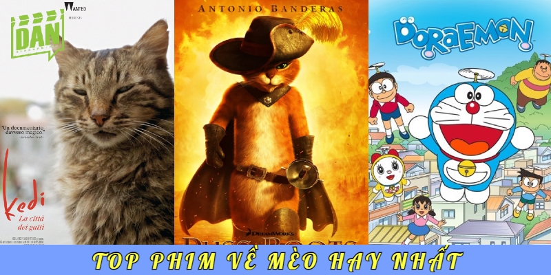 Top 10 phim về mèo làm các tín đồ mê thú cưng phát cuồng 