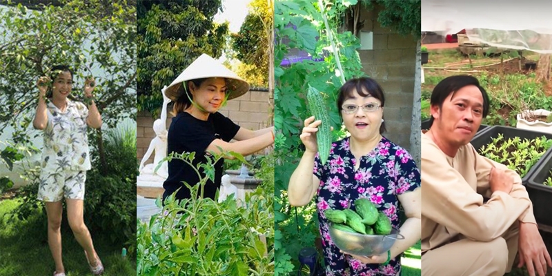 Sao Việt thích trồng rau vườn tược: Có người qua Mỹ vẫn giữ nếp cũ