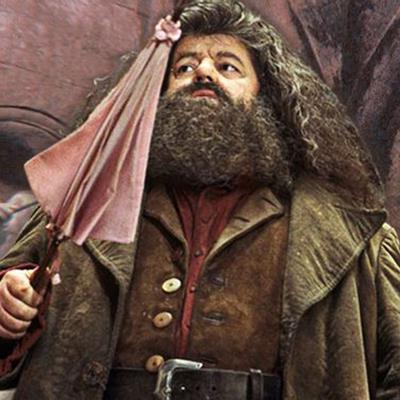 Harry Potter: Tìm hiểu về chiếc đũa phép siêu dị của Rubeus Hagrid