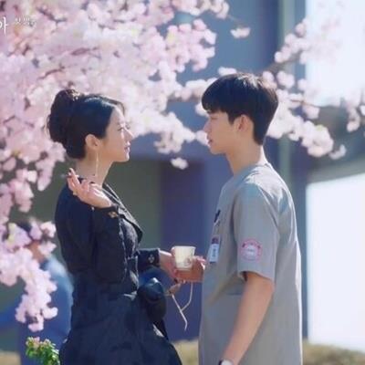 Mê mẩn trước những phân cảnh hoa anh đào siêu lãng mạn trong phim Hàn