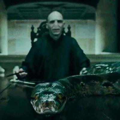 Harry Potter: Giải mã lý do Voldemort có được Nagini