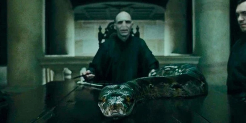 Harry Potter: Giải mã lý do Voldemort có được Nagini