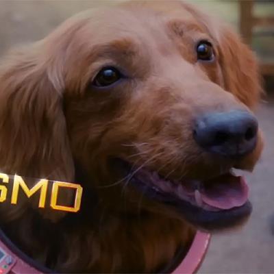 Tìm hiểu về Cosmo - chú chó không gian của Guardians of the Galaxy